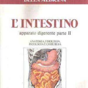 L'INTESTINO APPARATO DIGERENTE PARTE II