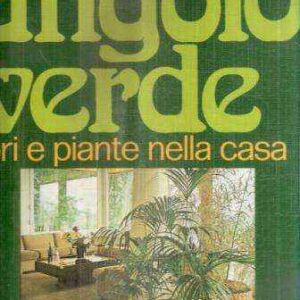 ANGOLO VERDE FIORI E PIANTE NELLA CASA