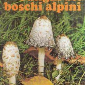 FUNGHI DEI BOSCHI ALPINI