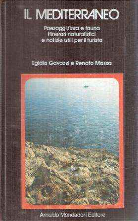 IL MEDITERRANEI