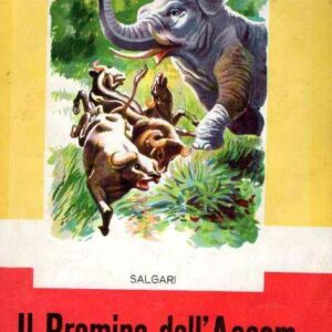 IL BRAMINO DELL'ASSAM