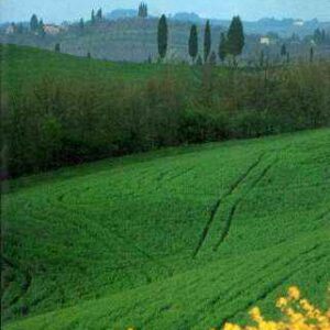 VEDERE LA TOSCANA