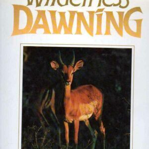 WILDERNESS DAWNING
