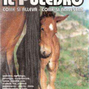 IL PULEDRO COME SI ALLEVA COME SI ADDESTRA