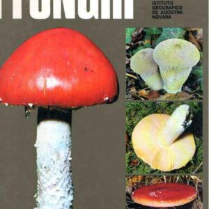 COME E DOVE VIVONO I FUNGHI