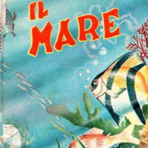 IL MARE - ILL. DI FRITZ KREDEL
