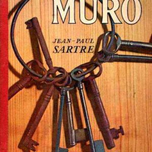 IL MURO