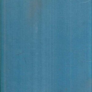 SENZA FAMIGLIA - STORIA DI UN TROVATELLO DI NOME REMIGIO