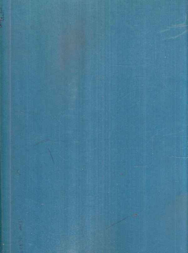 SENZA FAMIGLIA - STORIA DI UN TROVATELLO DI NOME REMIGIO