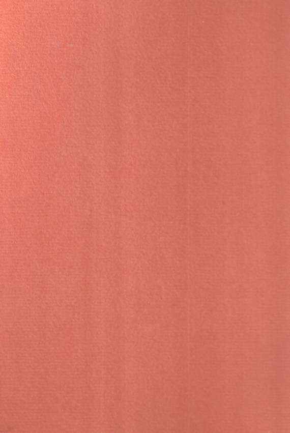 100 DISEGNI DI MAESTRI DEL XV E XVI SECOLO DEL GABINETTO DELLE STAMPE DI BASILEA