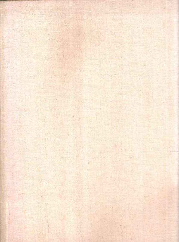 20.000 ANNI DI PITTURA
