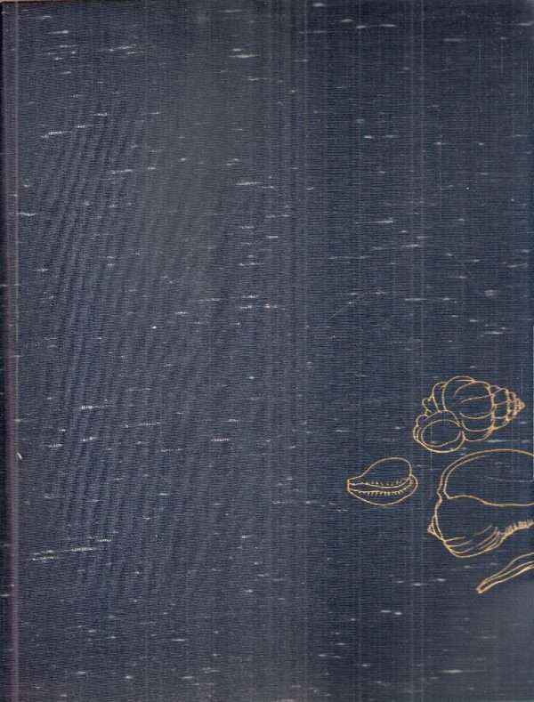 LE CONCHIGLIE - FOTOGR. DI H. LANDSHOFF